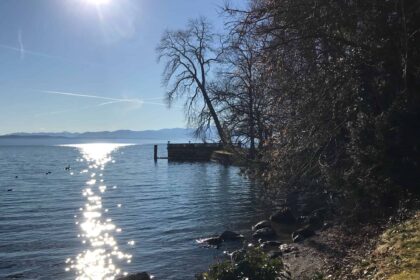 Seeglitzern in der Sonne