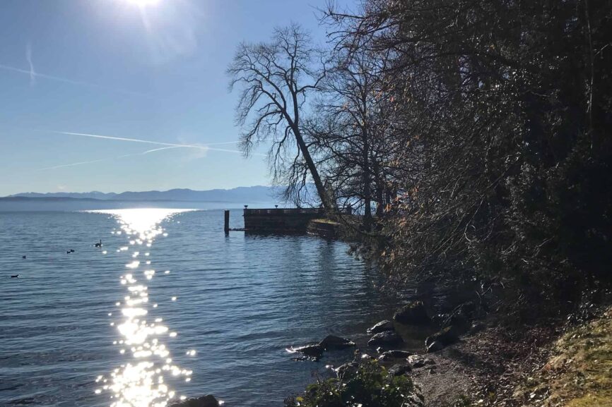 Seeglitzern in der Sonne