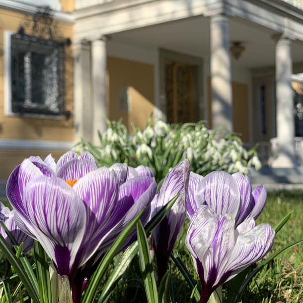 Newsletter März Evangelische Akademie Tutzing