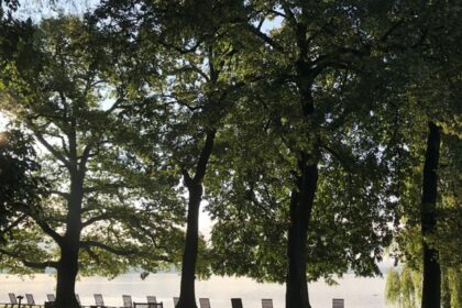 Bild Newsletter Mai 2022