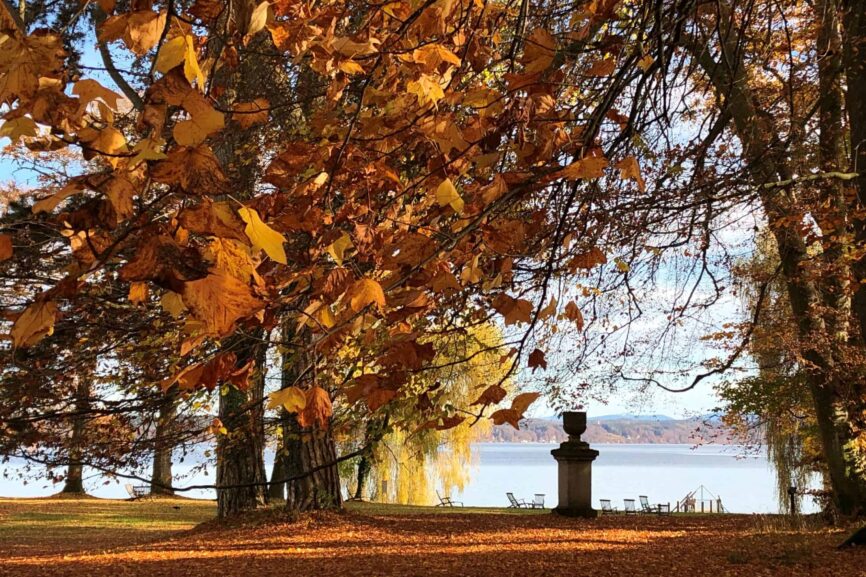 Bild Newsletter Oktober 2022