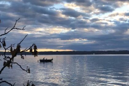 Bild Newsletter Dezember 2022