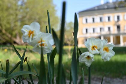 Newsletter Mai Evangelische Akademie Tutzing