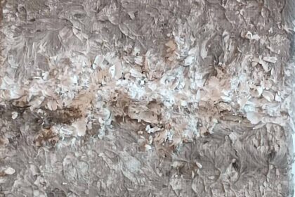 Junges Forum Evangelische Akademie Tutzing