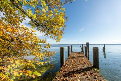 Badesteg mit Herbstlaub