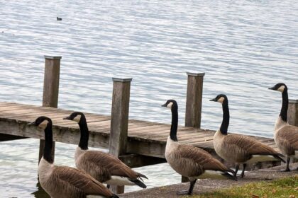 Bild Newsletter November 2023