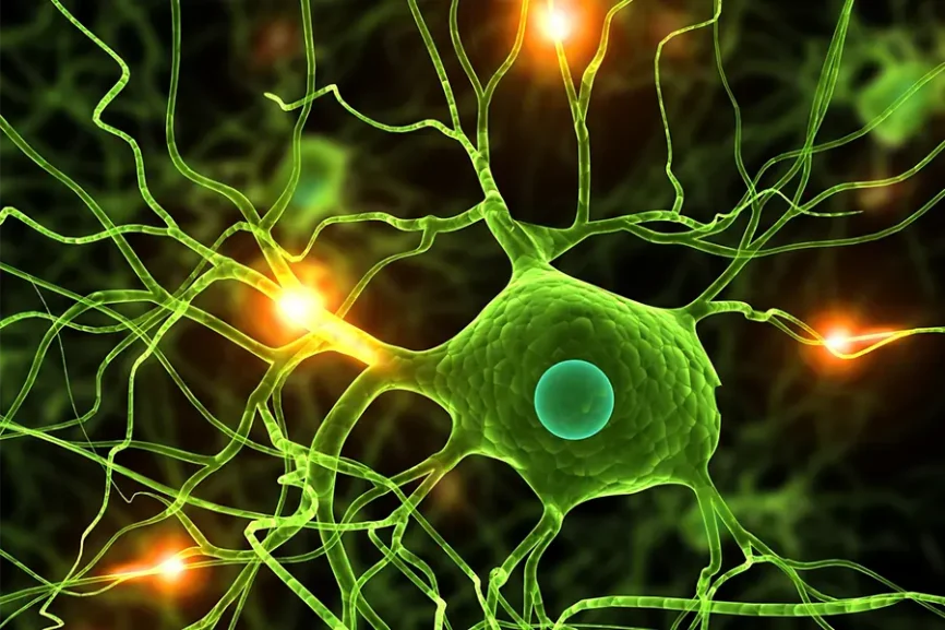 Nervenzellen 3D Illustration