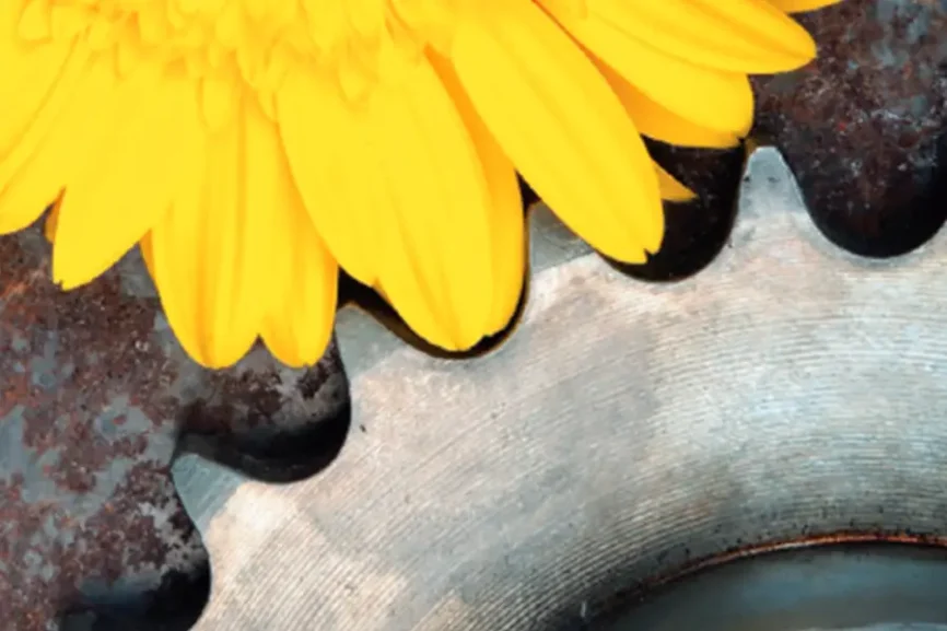 Blüten und Sah grad verzahnen sich ineinander