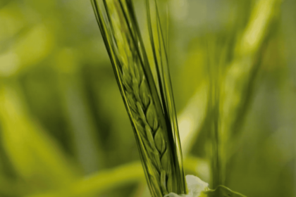 Screenshot Innovation und Vorsorge