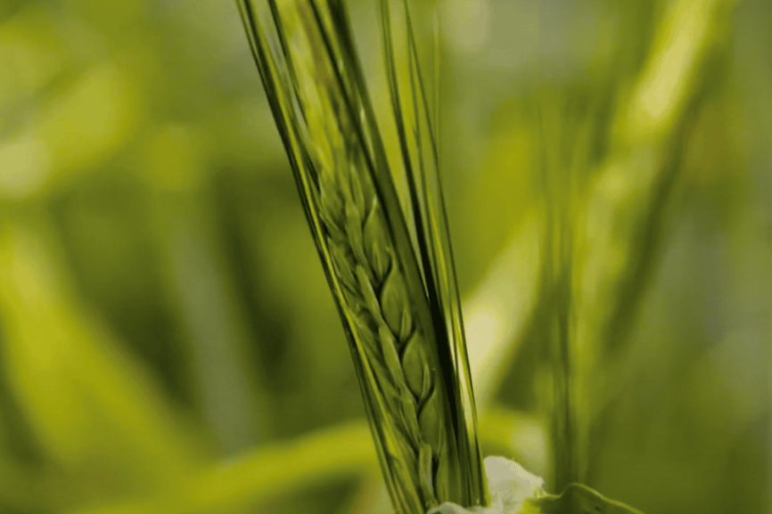 Screenshot Innovation und Vorsorge