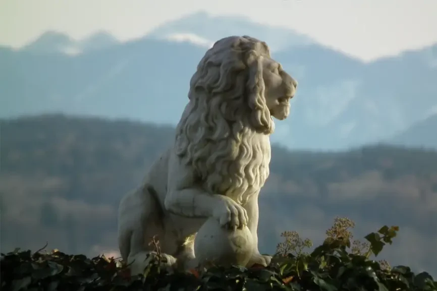 Löwe vor Berg Panorama