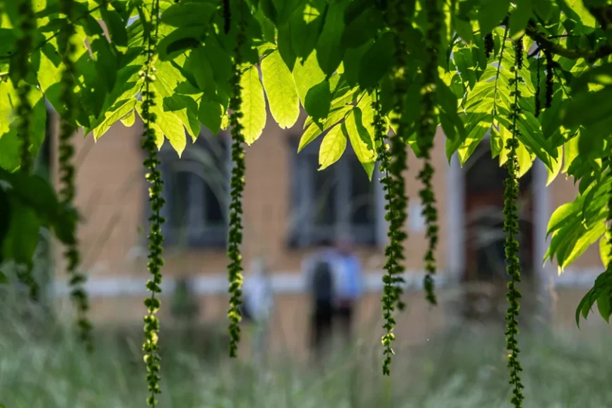 Park Stimmung von Schloss Tutzing