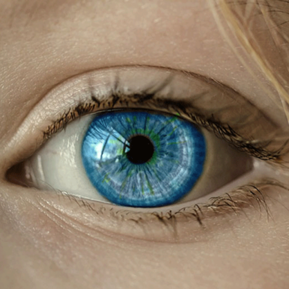 Bild Die Psyche des Homo Digitalis