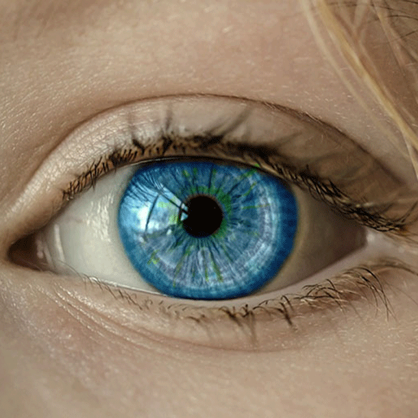 Bild Die Psyche des Homo Digitalis