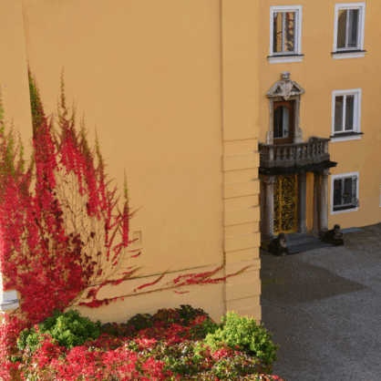 Bild Die Zukunft des Journalismus