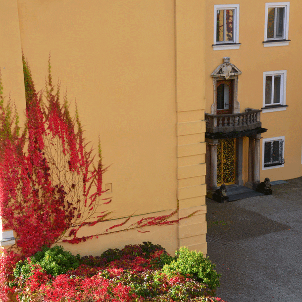 Bild Die Zukunft des Journalismus