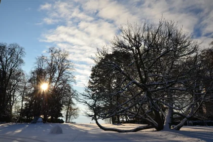 Winterstimmung Park Schloss Tutzing