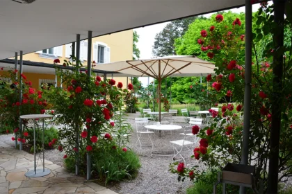 Rosen im Park von Schloss Tutzing