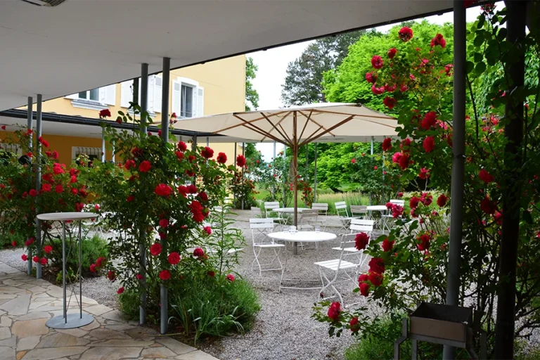 Rosen im Park von Schloss Tutzing