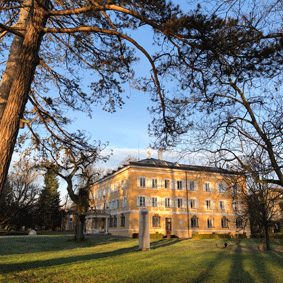 Bild Religion und Politik – Eine Verhältnisbestimmung