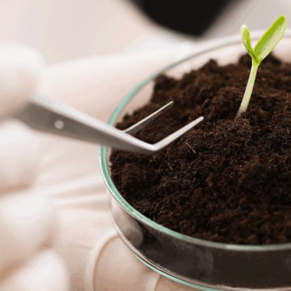 Bild Innovation und Vorsorge: Neue genomische Techniken für die Landwirtschaft