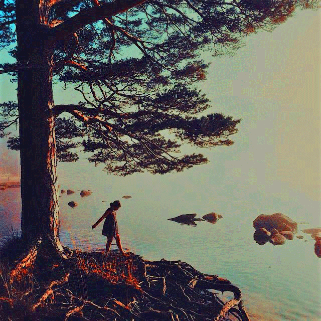 Bild Atem der Erde spüren. Training zu Achtsamkeit und Aktivismus