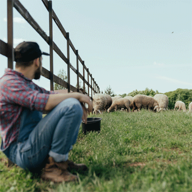 Bild Bauer – Wer bin ich, und wenn ja, wie viele?
