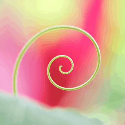 Bild Psychologie des Lebenssinns