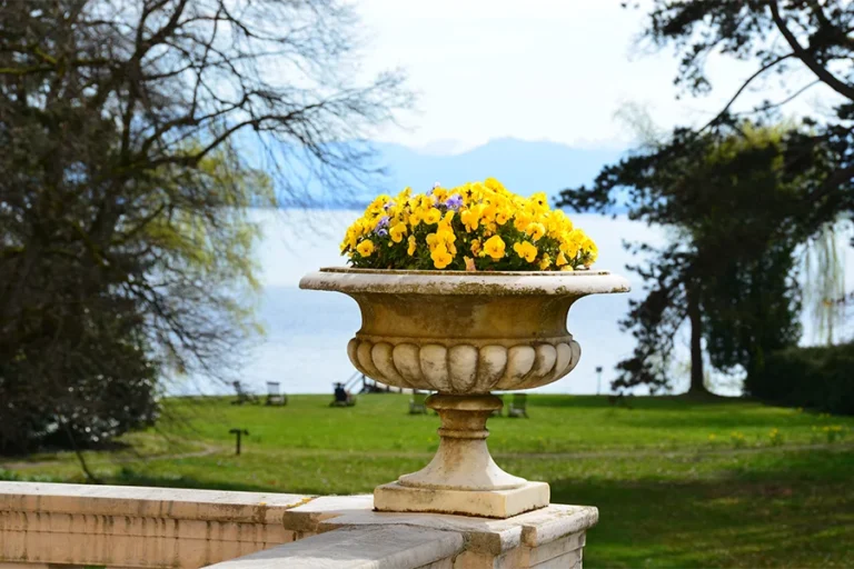 Blumen Arrangement mit Blick auf See