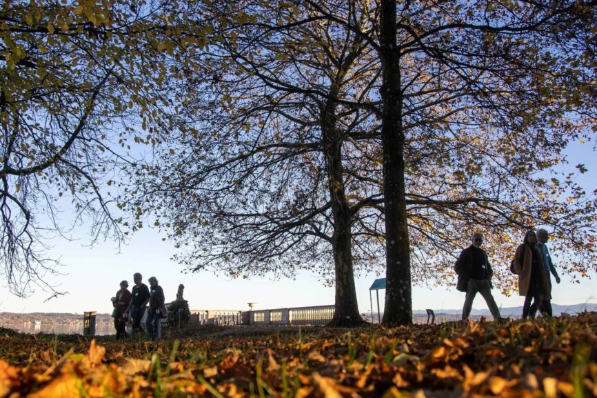 Herbststimmung Schlosspark