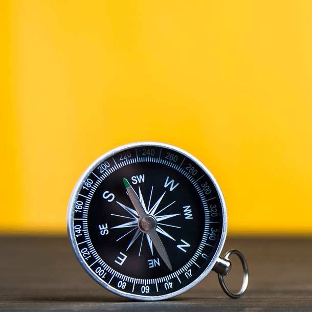 Bild Werte (er-)leben