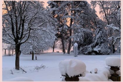 Weihnachtgrüße 2024, verschneiter Park der Evangelischen Akademie Tutzing