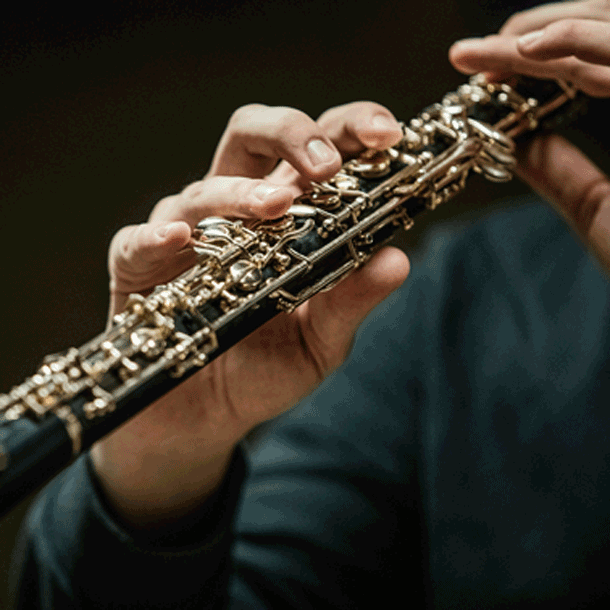 Bild 1. Kammerkonzert des Symphonieorchesters des BR