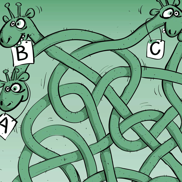 Bild Abitur – und dann?