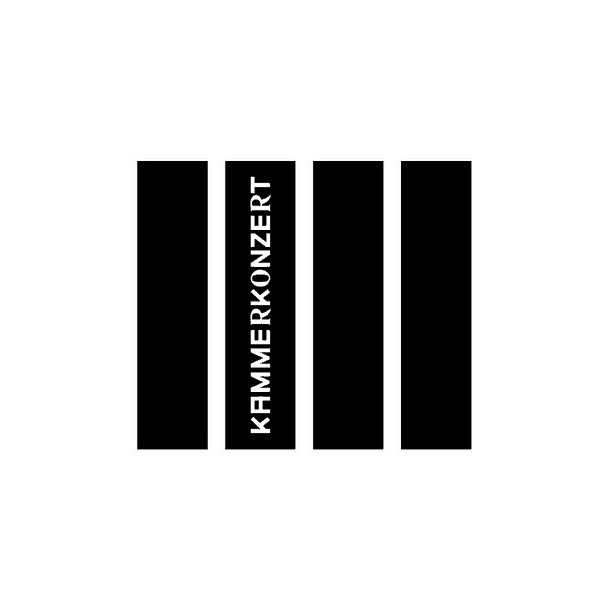 Bild 4. Kammerkonzert des Symphonieorchesters des BR