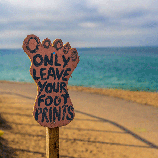 Bild Bar-Camp Politische Bildung