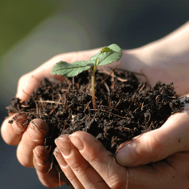 Bild Boden und Bodenschutz in Europa – Zwischen Anspruch und Wirklichkeit