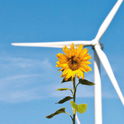 Bild Energiewende im ländlichen Raum