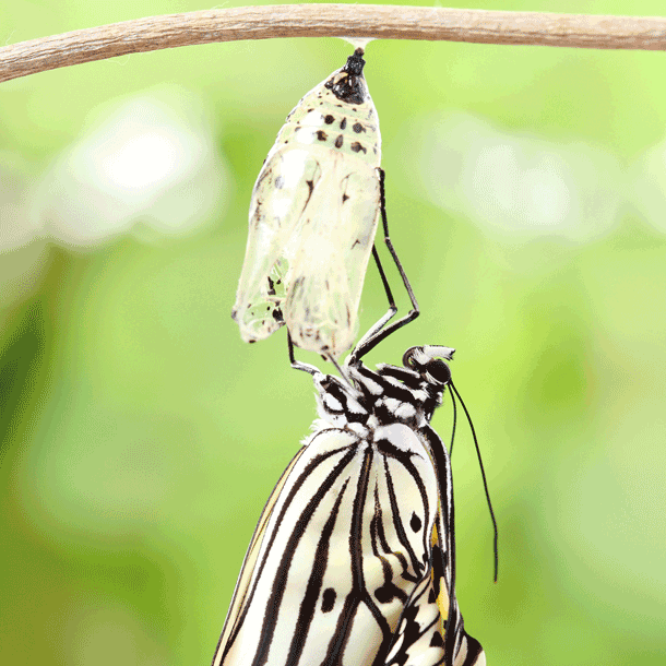 Bild Meine beste Zukunft beginnt mit uns