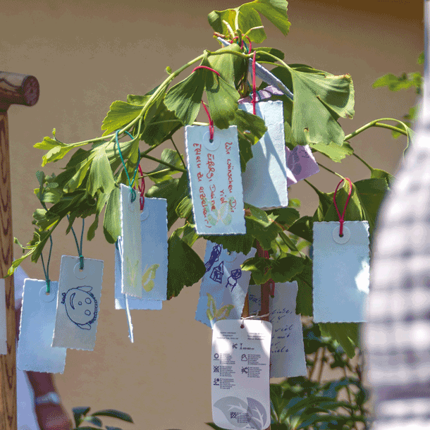 Bild Familienleben – Wunsch und Wirklichkeit