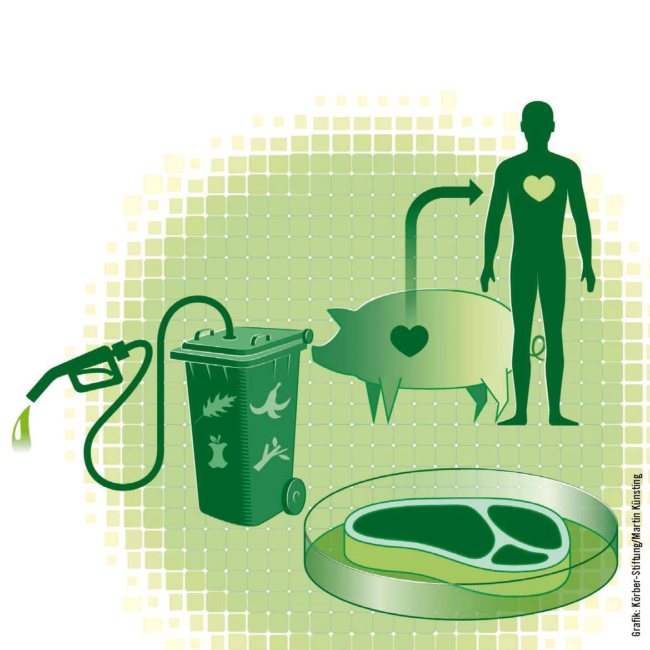 Bild Was heißt Innovation in der Bioökonomie? (Dialogreihe Innovation und Verantwortung)