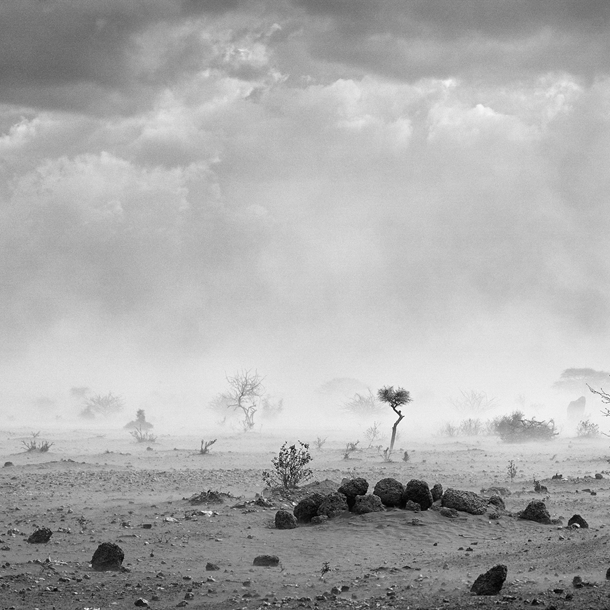 Bild No Future! Die Negation von Zukunft als produktives Moment