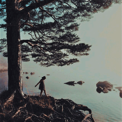 Bild Der Atem der Erde – Antworten auf den Klimawandel