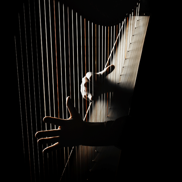 Bild Kammerkonzert des Symphonieorchesters des BR – 19:30 Uhr