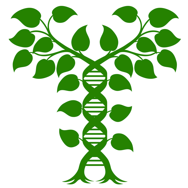 Bild ° Dialogreihe „Innovation und Verantwortung“: Bioökonomie und Gesellschaft