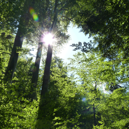 Bild CO2 als Abfall und Rohstoff (Dialogreihe: „Innovation und Verantwortung“)