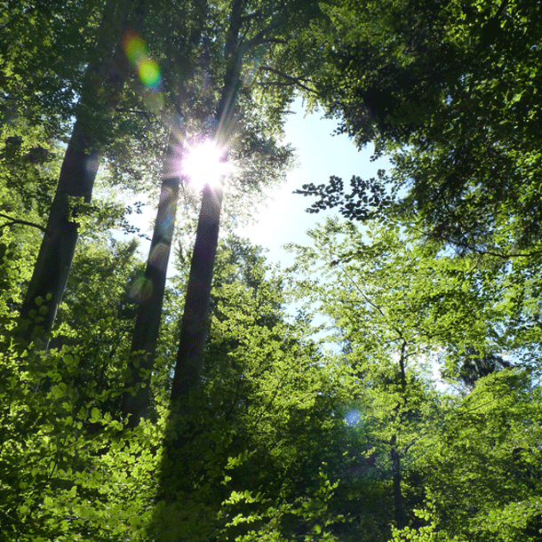 Bild CO2 als Abfall und Rohstoff (Dialogreihe: „Innovation und Verantwortung“)