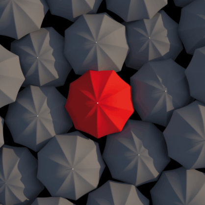 Bild Ein Solist kommt selten allein