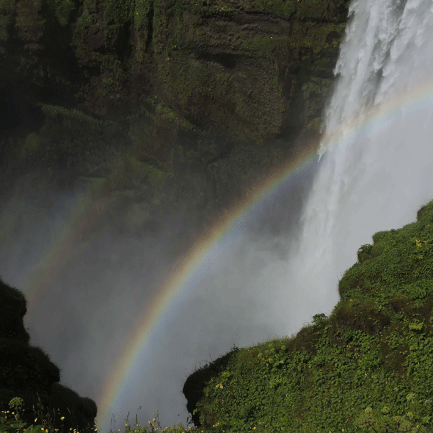 Bild Es muss alsdann gestorben sein