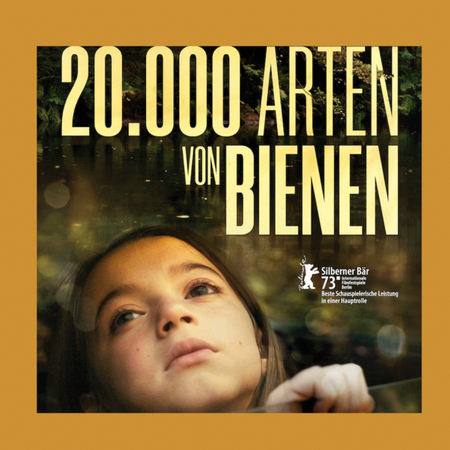 Bild Film des Monats: 20000 Arten von Bienen